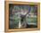Africa, Zambia. Portrait of Waterbuck-Jaynes Gallery-Framed Premier Image Canvas