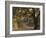 Africa, Zambia. Sunset on Forest-Jaynes Gallery-Framed Photographic Print