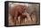 Africa, Zimbabwe, Bumi Hills. Elephants of MatUSAdona Park-Kymri Wilt-Framed Premier Image Canvas