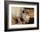 Africa, Zimbabwe, Victoria Falls. Black Rhinoceros-Kymri Wilt-Framed Photographic Print