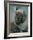 Africa-Rosalba Giovanna Carriera-Framed Giclee Print