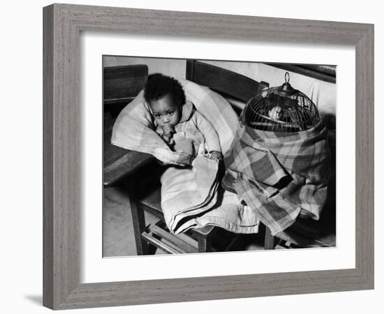 African American Baby Next to Cage of Canaries in a Shelter at School During Severe Flooding-Margaret Bourke-White-Framed Photographic Print