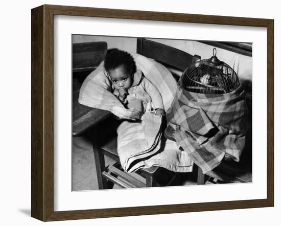 African American Baby Next to Cage of Canaries in a Shelter at School During Severe Flooding-Margaret Bourke-White-Framed Photographic Print