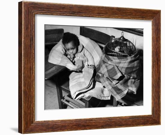 African American Baby Next to Cage of Canaries in a Shelter at School During Severe Flooding-Margaret Bourke-White-Framed Photographic Print