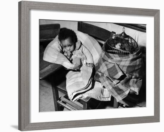 African American Baby Next to Cage of Canaries in a Shelter at School During Severe Flooding-Margaret Bourke-White-Framed Photographic Print