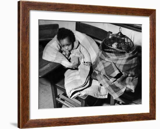 African American Baby Next to Cage of Canaries in a Shelter at School During Severe Flooding-Margaret Bourke-White-Framed Photographic Print