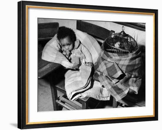 African American Baby Next to Cage of Canaries in a Shelter at School During Severe Flooding-Margaret Bourke-White-Framed Photographic Print