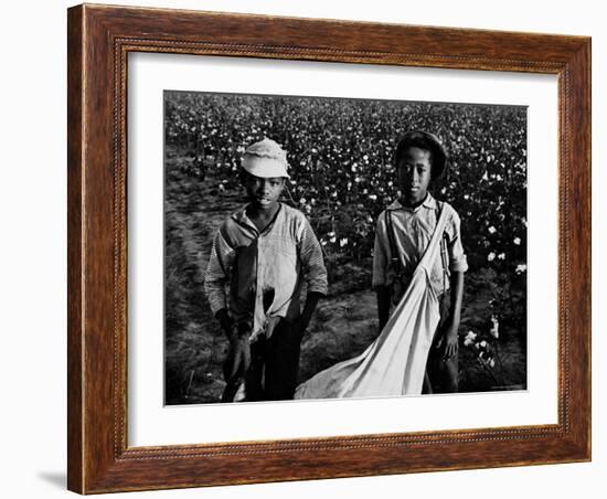 African American Children - Are Cotton Pickers Pulling Sacks Along Behind Them as They Pick Cotton-Ben Shahn-Framed Photographic Print
