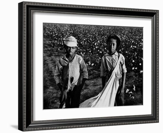 African American Children - Are Cotton Pickers Pulling Sacks Along Behind Them as They Pick Cotton-Ben Shahn-Framed Photographic Print