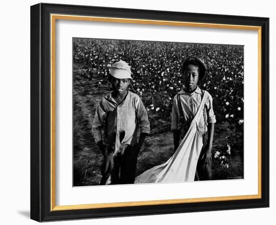 African American Children - Are Cotton Pickers Pulling Sacks Along Behind Them as They Pick Cotton-Ben Shahn-Framed Photographic Print