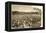 African-American Field-Hands Picking Cotton in the Deep South, c.1890-null-Framed Premier Image Canvas