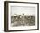 African American Men, Women, and Children, Employed as Cotton Pickers in North Carolina, 1900-null-Framed Premium Giclee Print