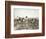 African American Men, Women, and Children, Employed as Cotton Pickers in North Carolina, 1900-null-Framed Art Print