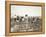 African American Men, Women, and Children, Employed as Cotton Pickers in North Carolina, 1900-null-Framed Stretched Canvas