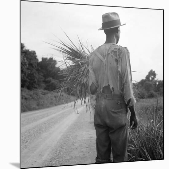 African-American on cotton patch in Mississippi, 1936-Dorothea Lange-Mounted Premium Photographic Print