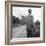 African-American on cotton patch in Mississippi, 1936-Dorothea Lange-Framed Photographic Print