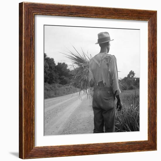 African-American on cotton patch in Mississippi, 1936-Dorothea Lange-Framed Photographic Print