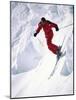 African-American Skier in Red-null-Mounted Photographic Print