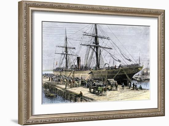 African-American Stevedores Loading Cotton on a Ship in Charlestown, South Carolina, c.1870-null-Framed Giclee Print