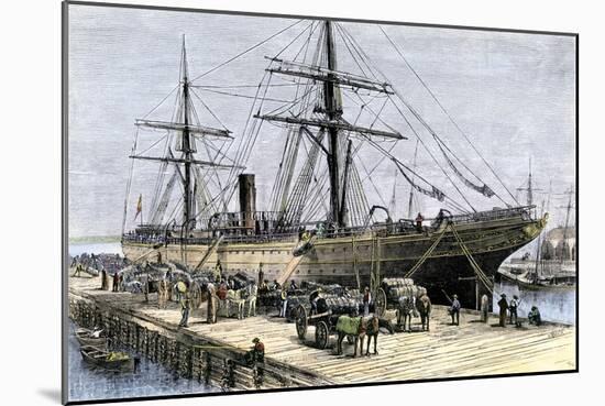 African-American Stevedores Loading Cotton on a Ship in Charlestown, South Carolina, c.1870-null-Mounted Giclee Print