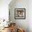 African American Virginia Lee Tanner Ironing in Her Rented House-null-Framed Photographic Print displayed on a wall