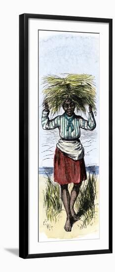 African-American Woman Carrying Sheaves on a Rice Plantation-null-Framed Giclee Print