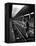 African American Woman Picking Up Debris on Tracks at Union Station-Alfred Eisenstaedt-Framed Premier Image Canvas