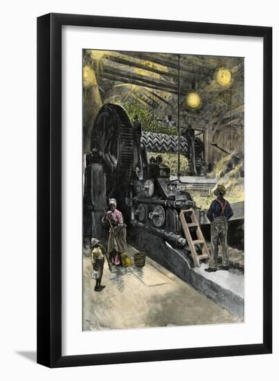 African-American Workers Operating a Cane-Crushing Machine in a Sugar House at Bayou Teche, c.1900-null-Framed Giclee Print