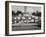 African Americans Demonstrate Against Segregation at the University of Texas, Austin-null-Framed Photo