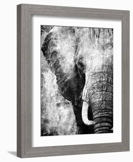 African Animals I - Grey-Eric Yang-Framed Art Print