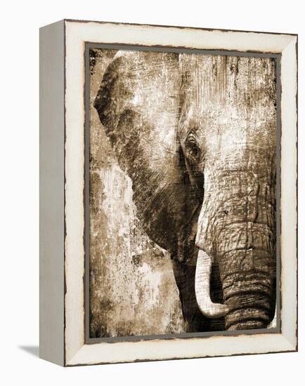 African Animals I - Sepia-Eric Yang-Framed Stretched Canvas