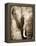 African Animals I - Sepia-Eric Yang-Framed Stretched Canvas