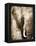 African Animals I - Sepia-Eric Yang-Framed Stretched Canvas