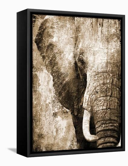 African Animals I - Sepia-Eric Yang-Framed Stretched Canvas