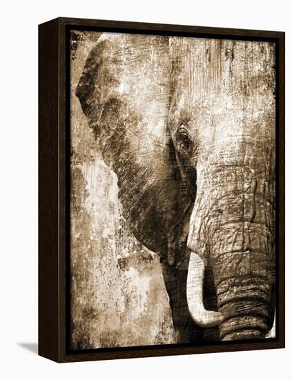 African Animals I - Sepia-Eric Yang-Framed Stretched Canvas