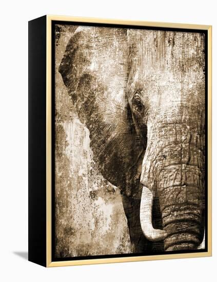 African Animals I - Sepia-Eric Yang-Framed Stretched Canvas