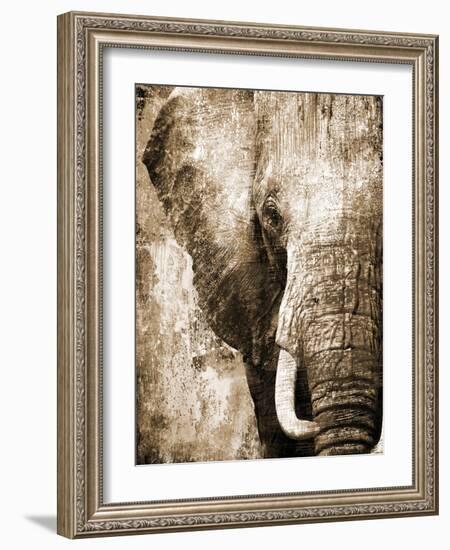 African Animals I - Sepia-Eric Yang-Framed Premium Giclee Print