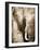 African Animals I - Sepia-Eric Yang-Framed Premium Giclee Print