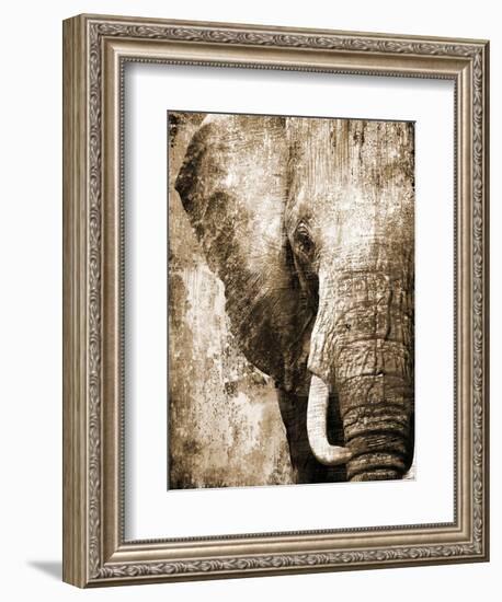 African Animals I - Sepia-Eric Yang-Framed Art Print