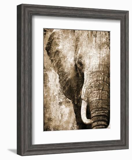 African Animals I - Sepia-Eric Yang-Framed Art Print