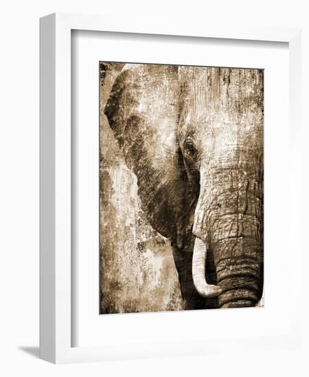 African Animals I - Sepia-Eric Yang-Framed Art Print