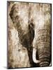 African Animals I - Sepia-Eric Yang-Mounted Art Print