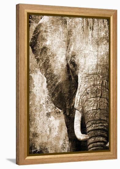 African Animals I - Sepia-Eric Yang-Framed Stretched Canvas