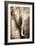 African Animals I - Sepia-Eric Yang-Framed Premium Giclee Print