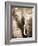 African Animals I - Sepia-Eric Yang-Framed Art Print