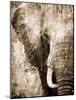 African Animals I - Sepia-Eric Yang-Mounted Art Print