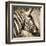 African Animals II - Sepia-Eric Yang-Framed Art Print