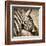 African Animals II - Sepia-Eric Yang-Framed Art Print