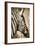 African Animals II - Sepia-Eric Yang-Framed Art Print