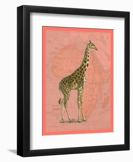 African Animals on Coral I-Studio W-Framed Art Print